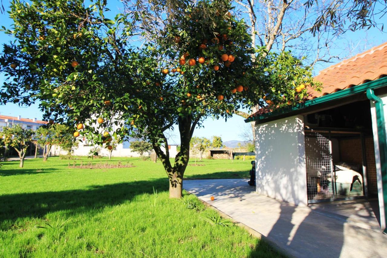 Casa Dos Ouricos Villa ปอนเตเดอลิมา ภายนอก รูปภาพ
